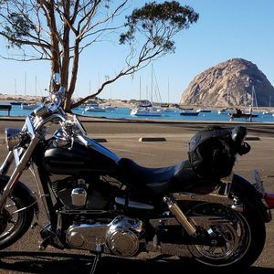 Meet your Posher, Robert